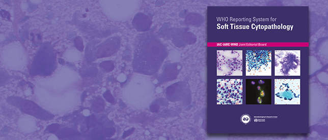 WHO Reporting System for Soft Tissue Cytopathology